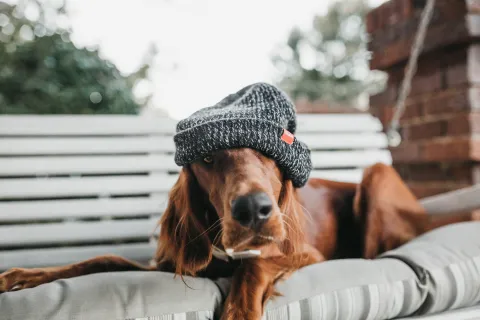 camylla battani n7zcdmj4n5g unsplash