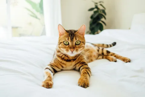 paul hanaoka iitxnto78ts unsplash